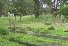 Canterbury NSWresidential-landscaping-39.jpg; ?>