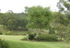 Canterbury NSWresidential-landscaping-40.jpg; ?>